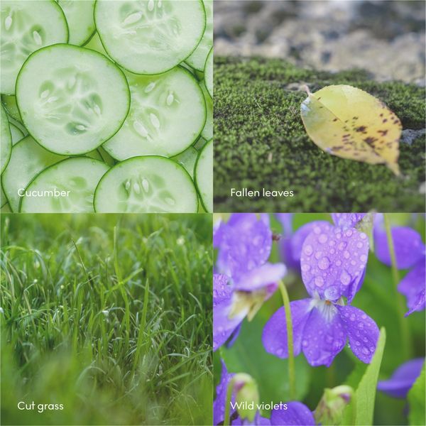 Hovedbilde RO duftlys 200g