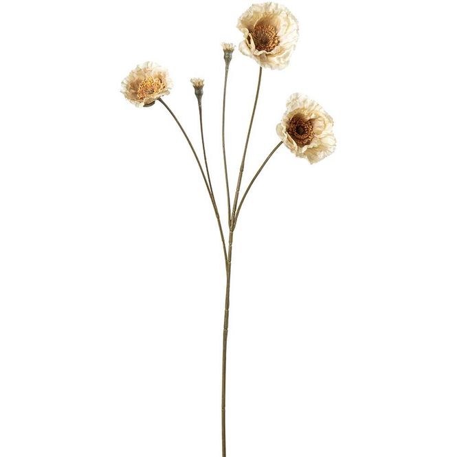 Hovedbilde Valmue 67 cm, Krem