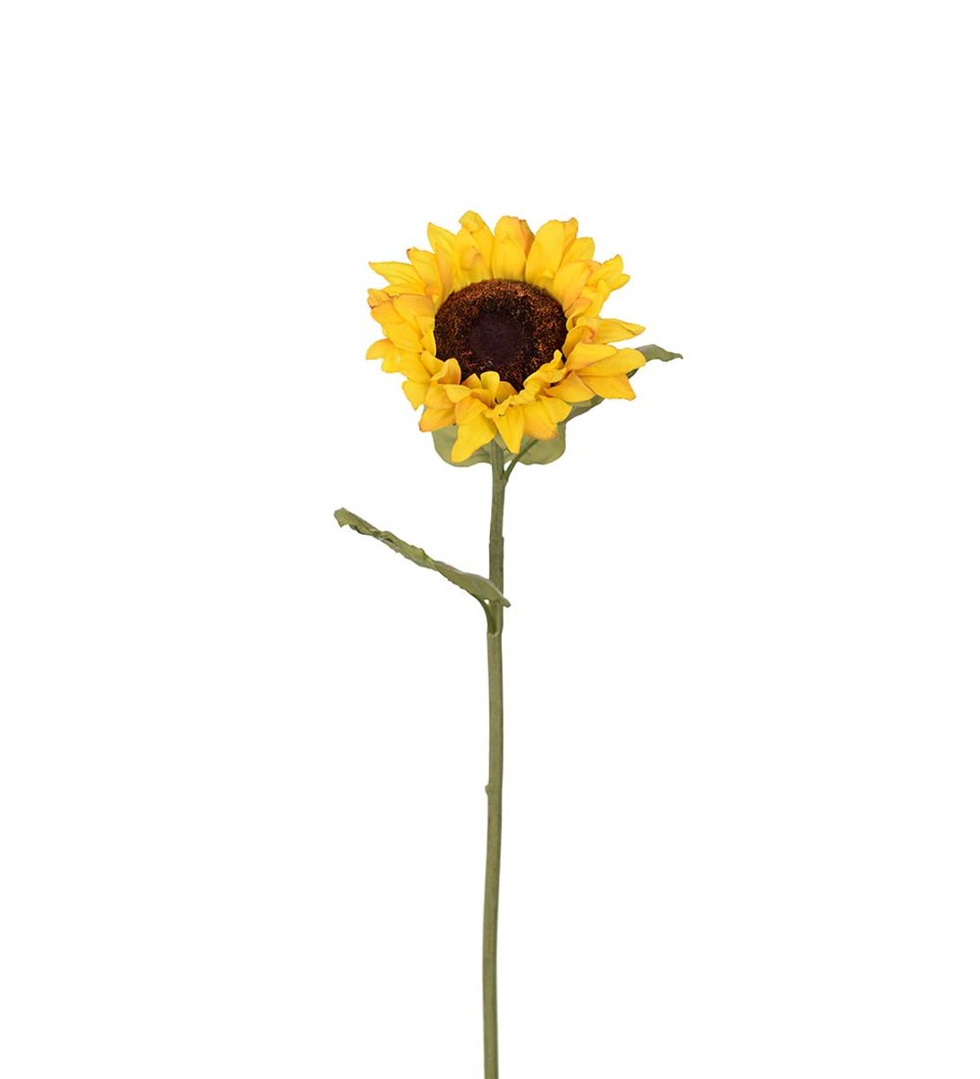 Solsikke 60 cm, Gul