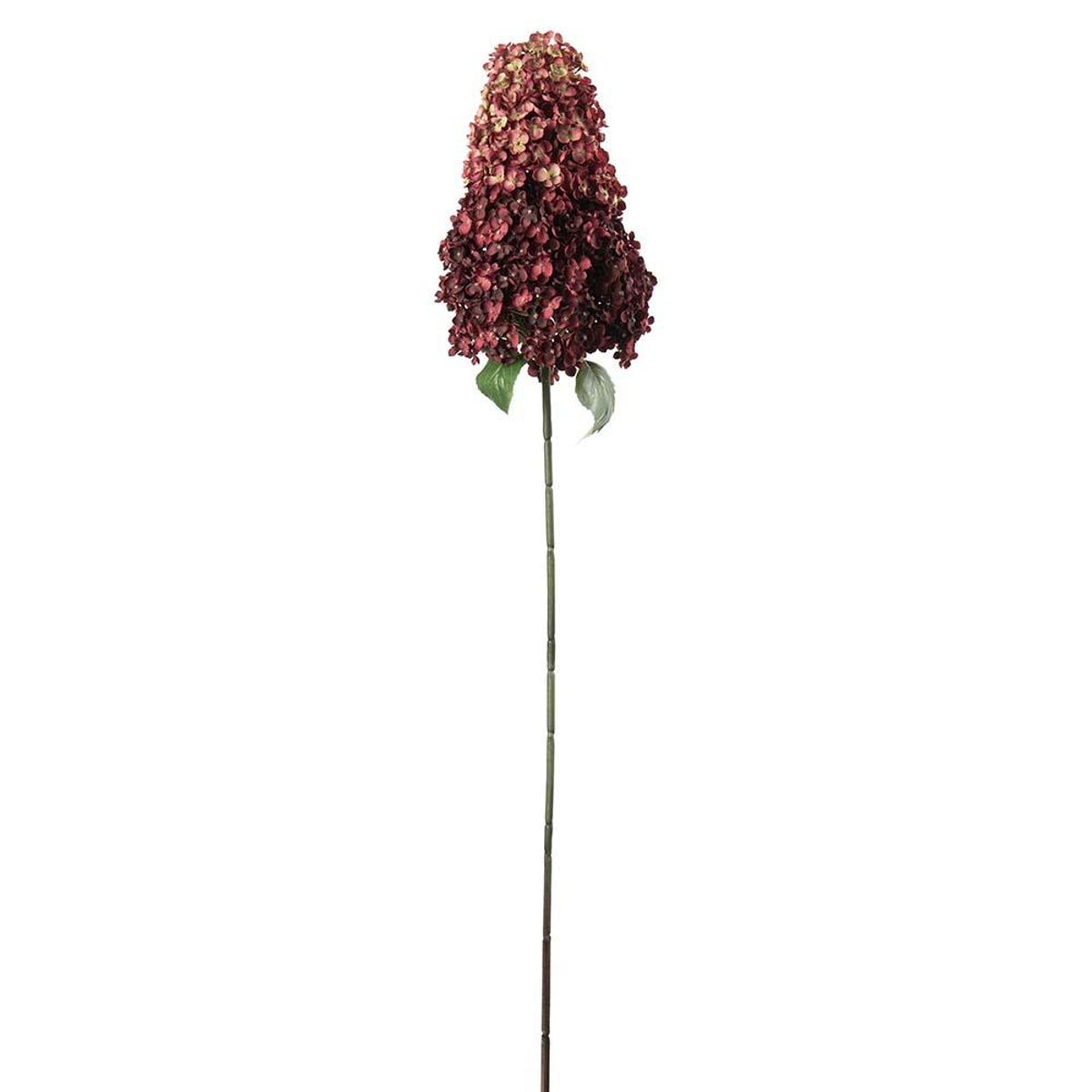 Syrinhortensia 128 cm, burgunder