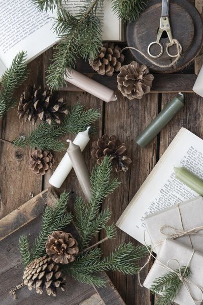 Hovedbilde Bedelys - skogsgrønt